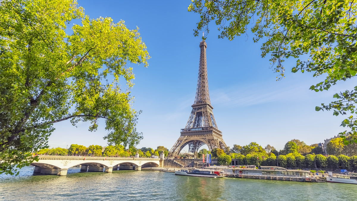 Parisian Majesty Wall Mural in your room — zoomed
