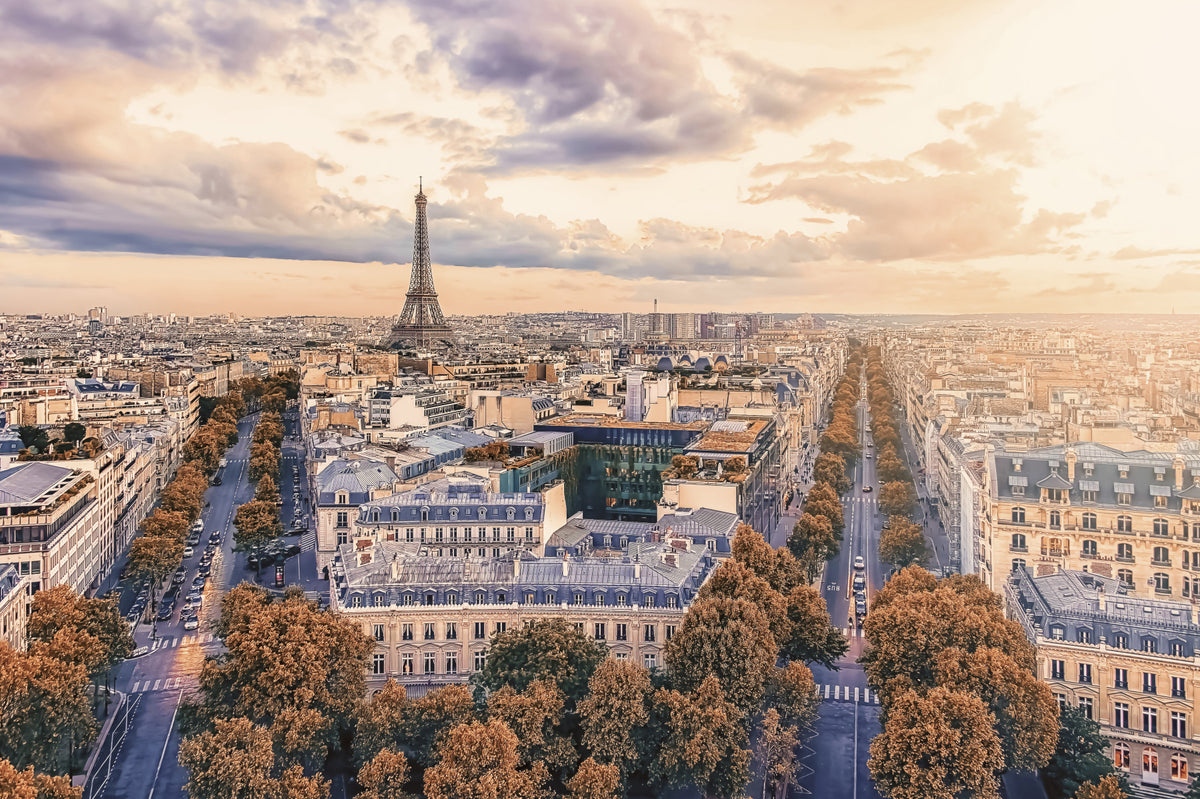 Parisian Sunset Skyline Wall Mural in your room — zoomed
