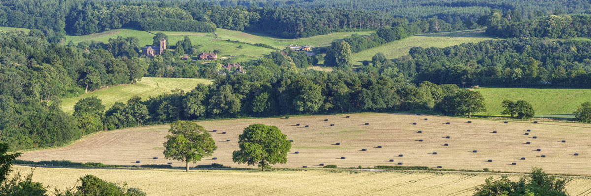 Rolling Hills Harmony Wall Mural in your room — zoomed