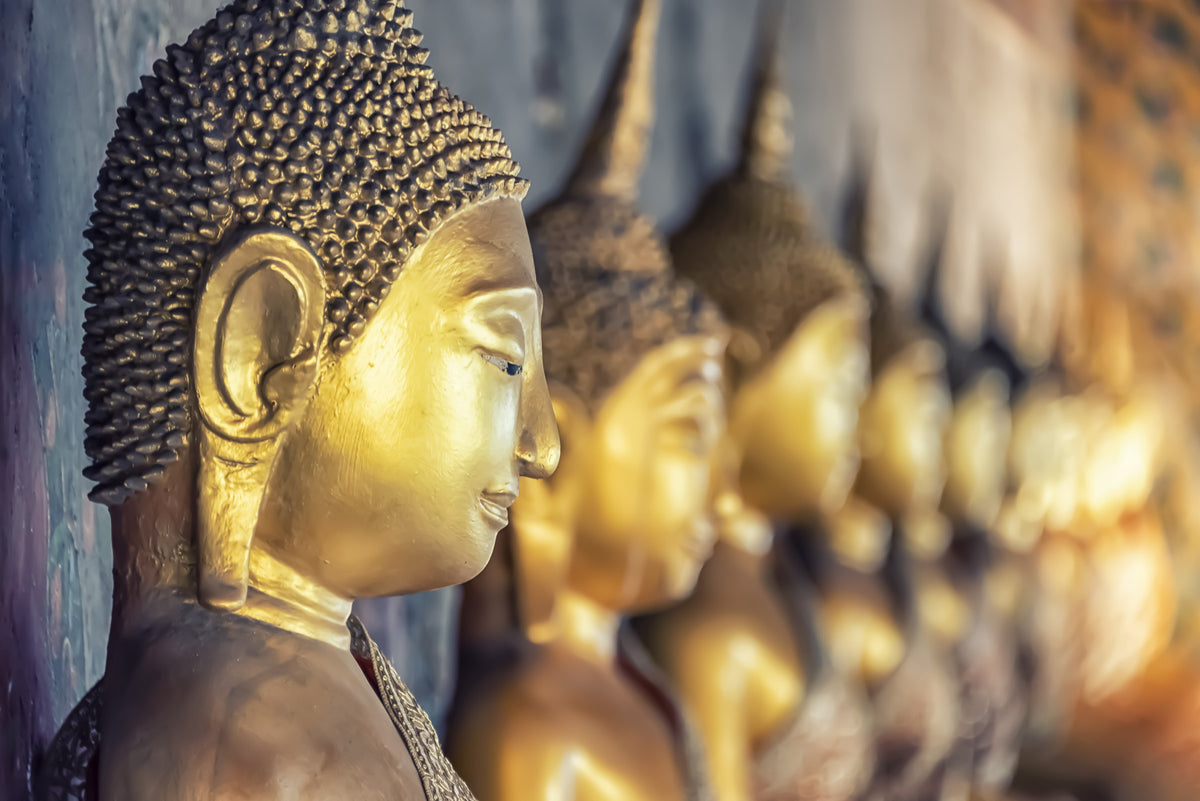 Buddha's Golden Gaze Wall Mural in your room