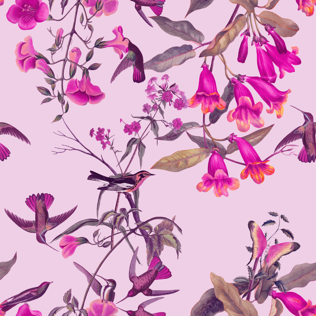 Magenta Garden Aviary Wallpaper⁠ in your room — zoomed