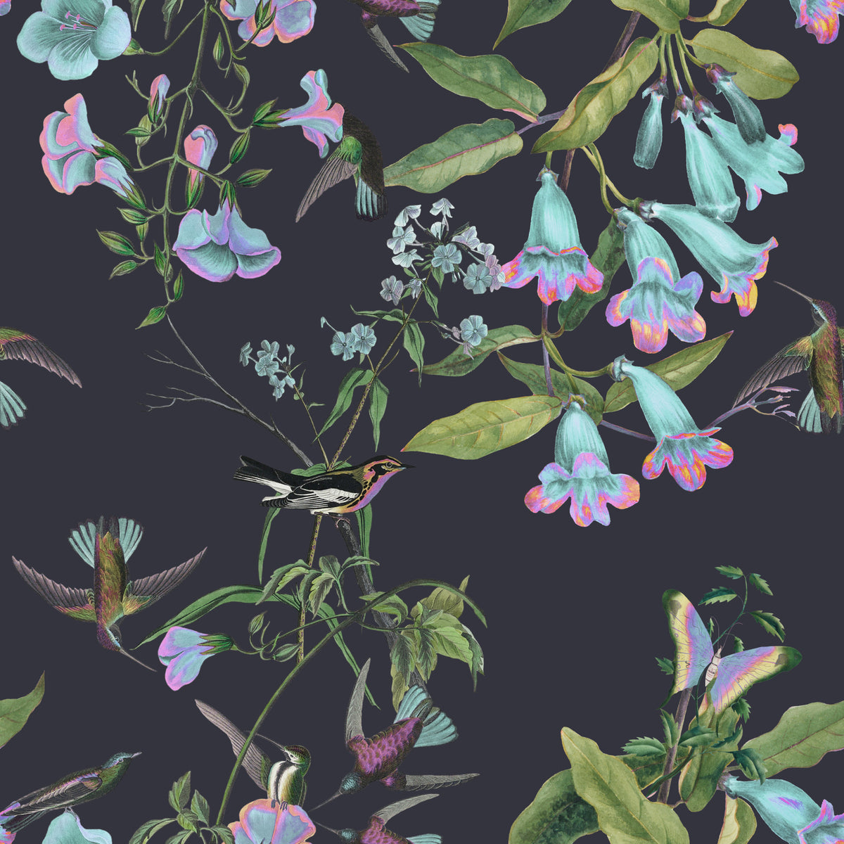 Hummingbird Haven Wallpaper⁠ in your room