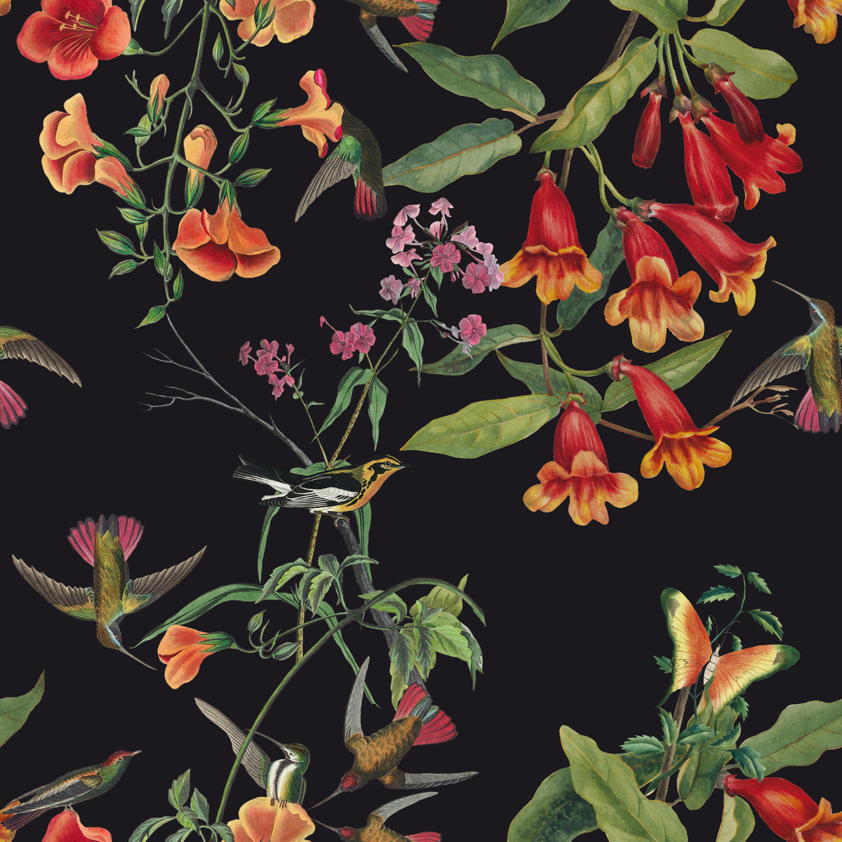 Floral Flight: Dark Elegance Wallpaper⁠ in your room — zoomed