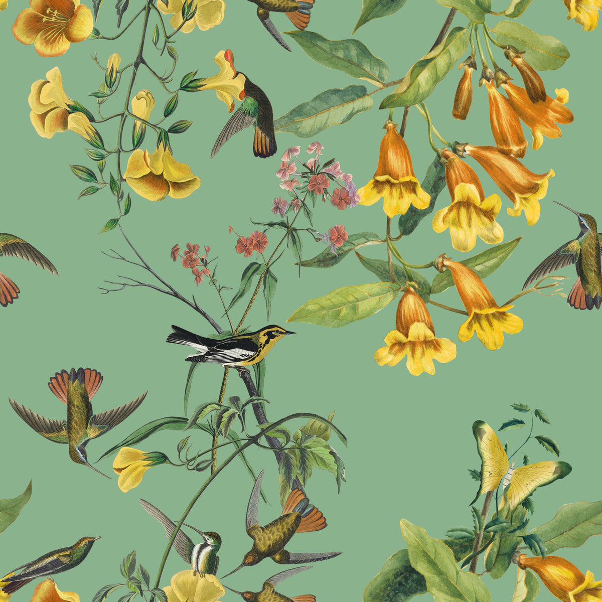 Botanical Flight Wallpaper⁠ in your room