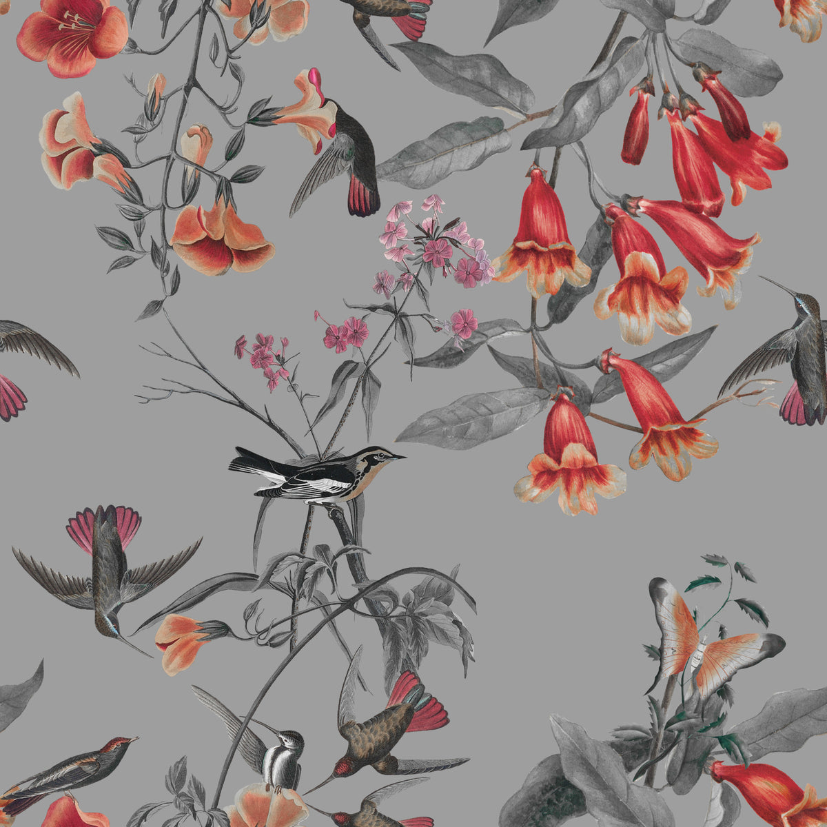 Hummingbird's Song Wallpaper⁠ in your room — zoomed
