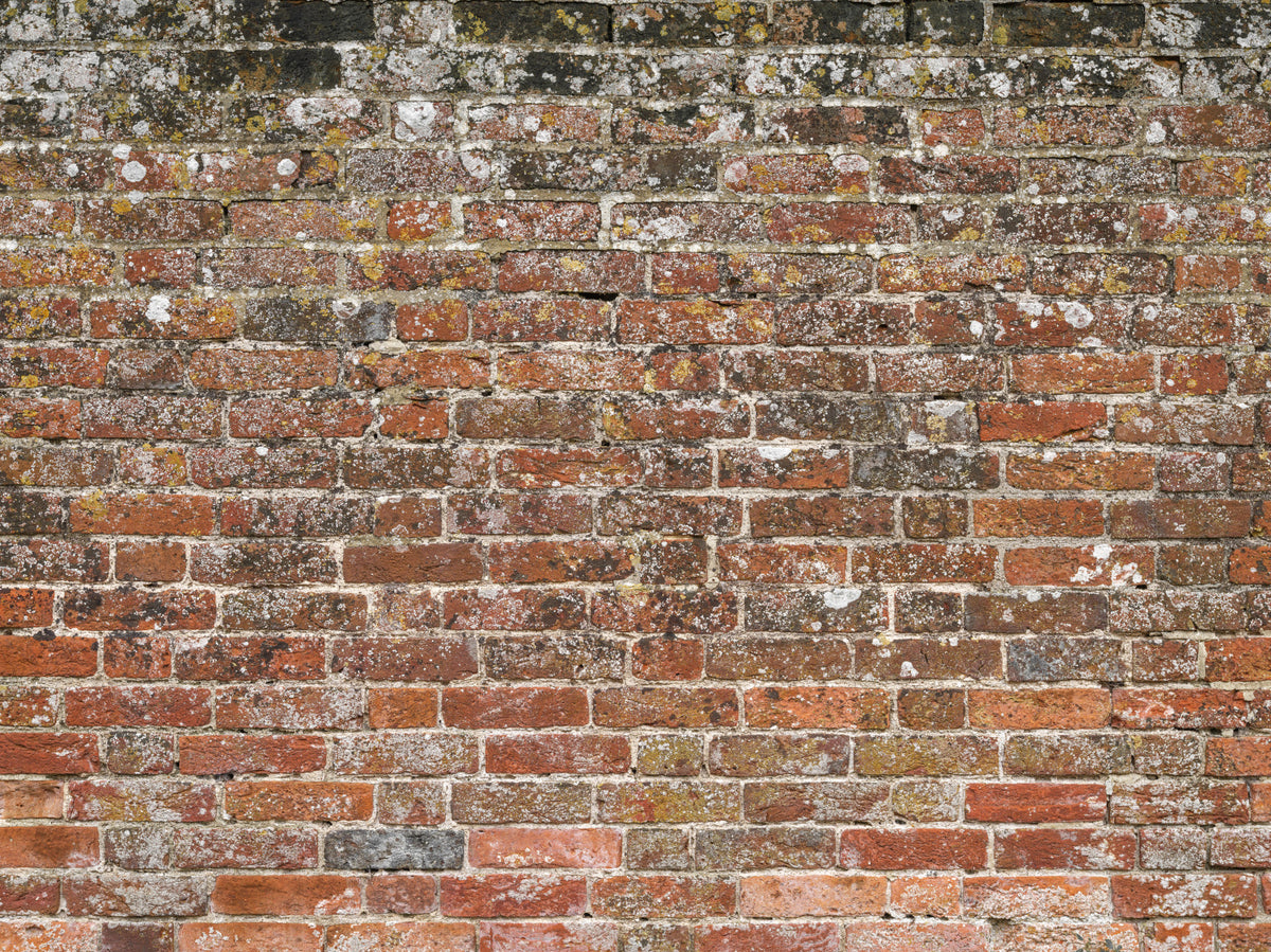 Classic Red Brick Look Wall Mural in your room — zoomed