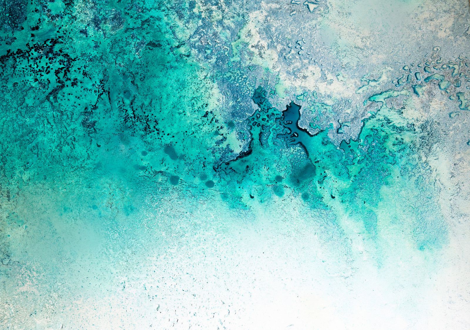 Serene Waters Wall Mural - 2732158