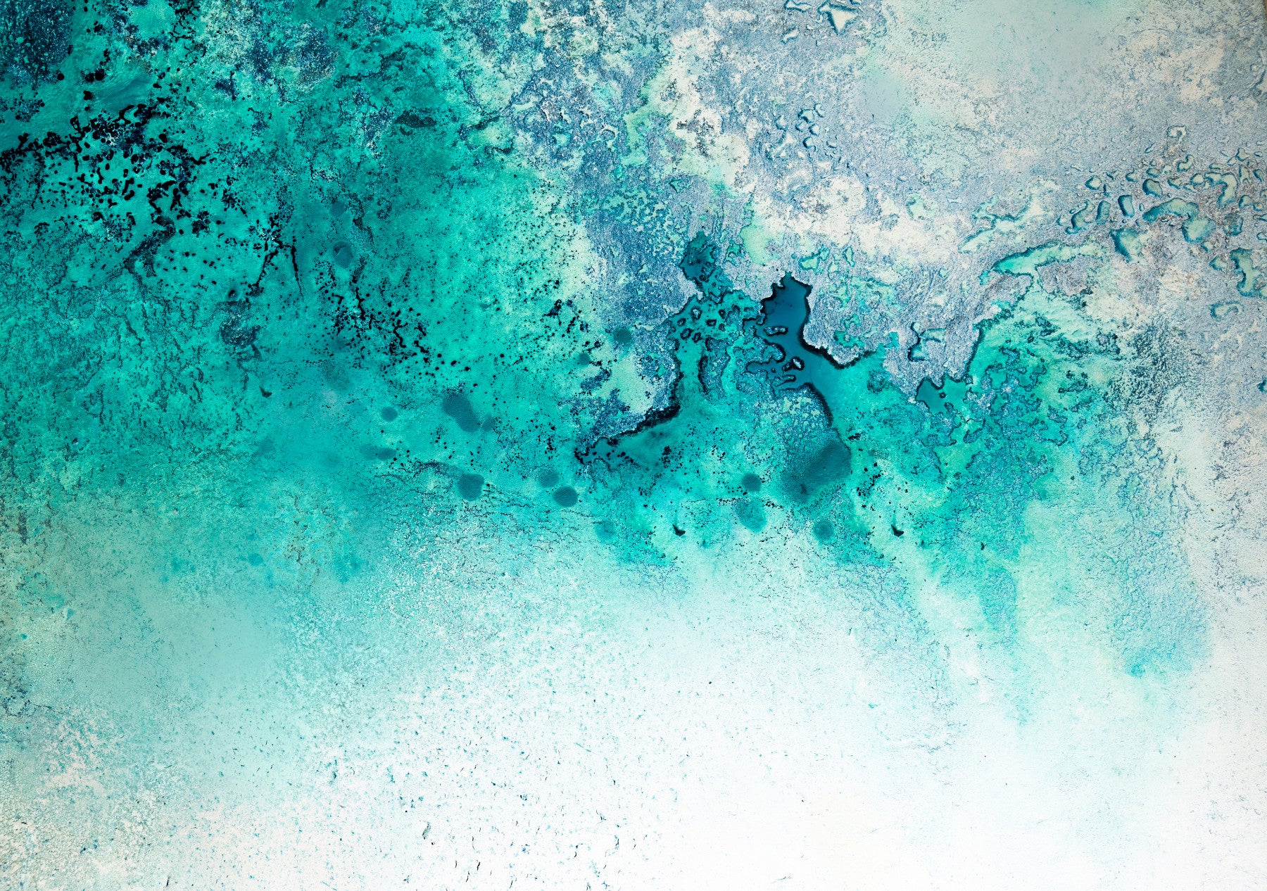Serene Waters Wall Mural - 2732158 in your room — zoomed