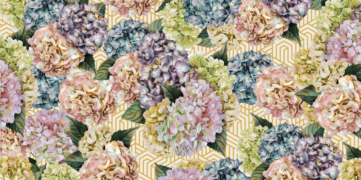 Hydrangea Bloom Wall Mural -2735566 in your room