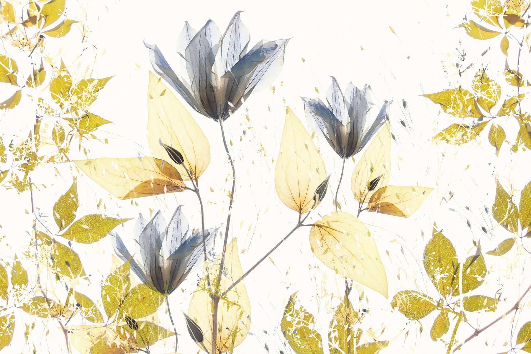 An artistic delicate floral mural on minimalist wallpaper.

