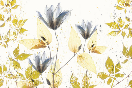 Ethereal Bloom Wall Mural -2504298
