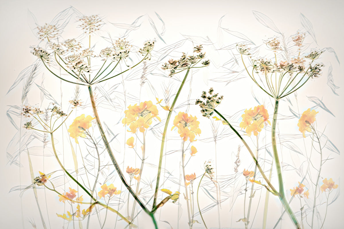 Golden Whisper Floral Wall Mural -2503370 in your room