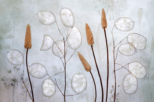 Botanical Echoes Wall Mural -1037879