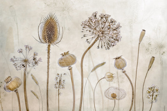 Ethereal Flora Design Wall Mural -1211143