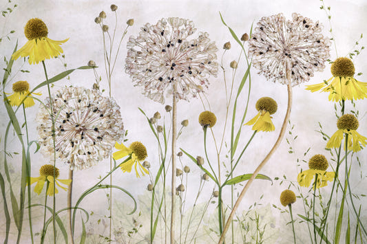 Sunshine Bloom Wall Mural -1092592