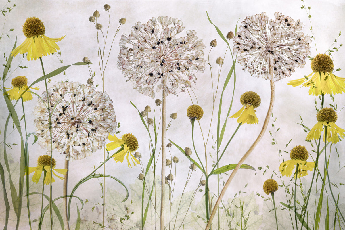 Sunshine Bloom Wall Mural -1092592 in your room — zoomed