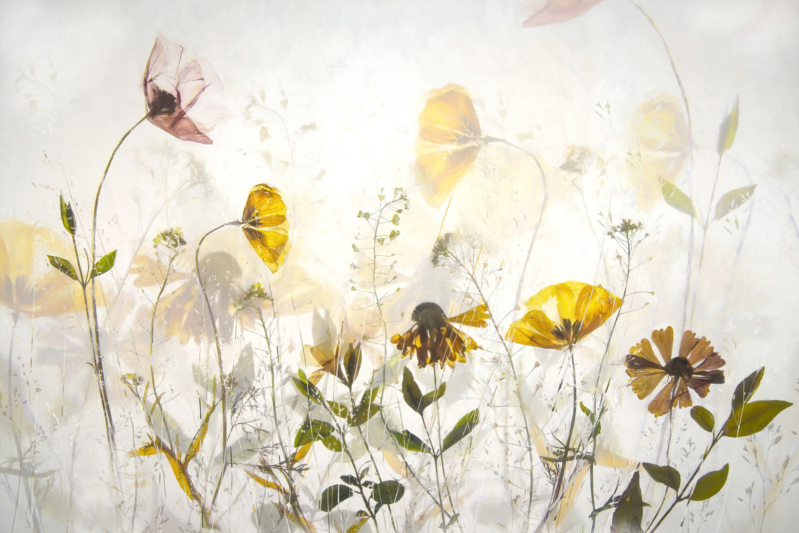 Translucent Floral Haze Wall Mural -1840020 in your room