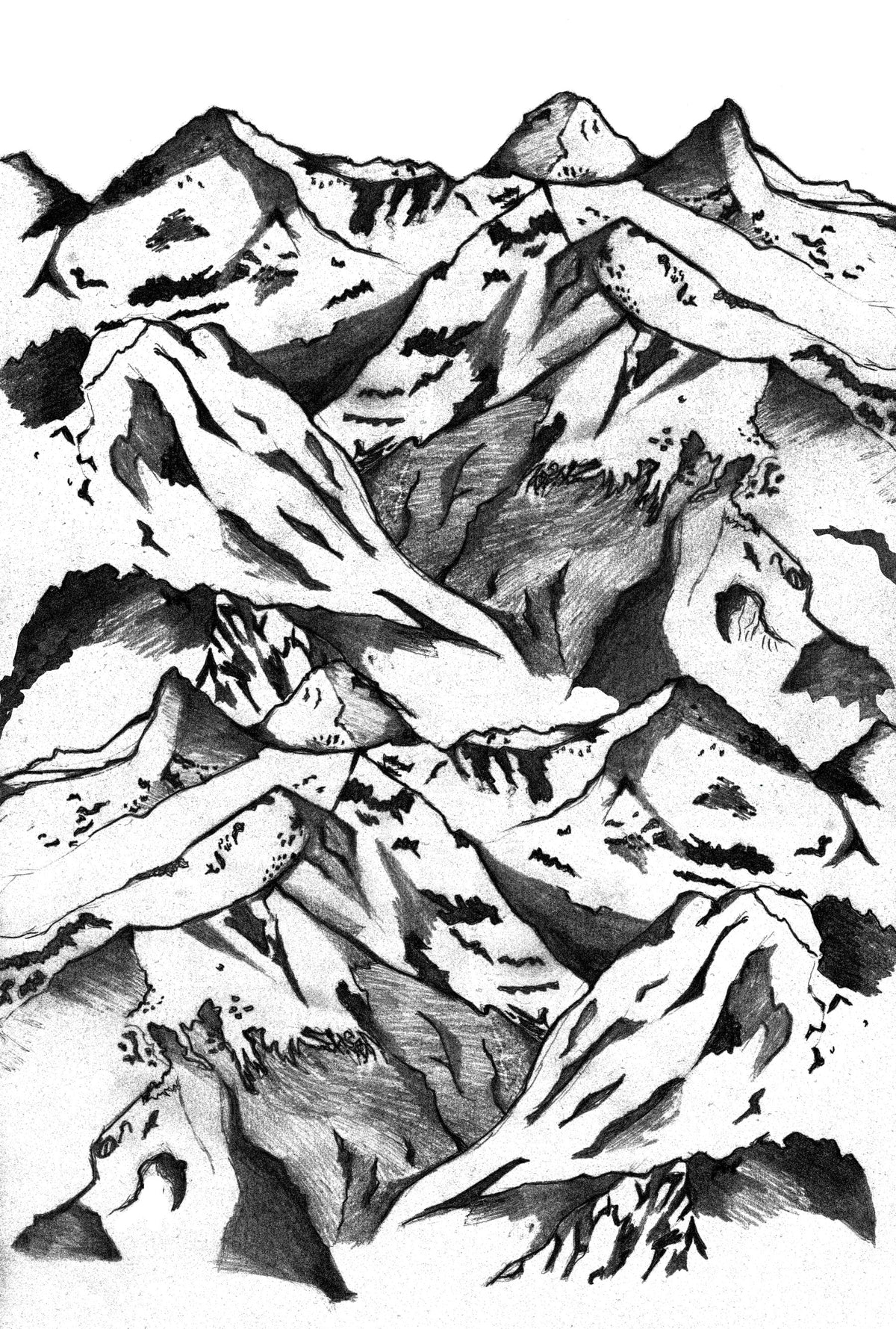 Andes Wall Mural in your room — zoomed