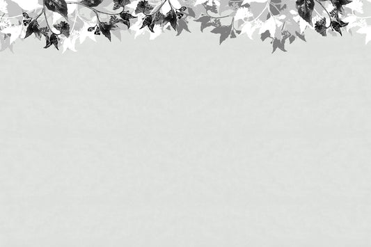 Monochrome Canopy Wall Mural - 2720698