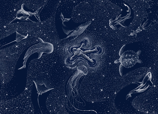 Astral Sea Wall Mural - 2745722