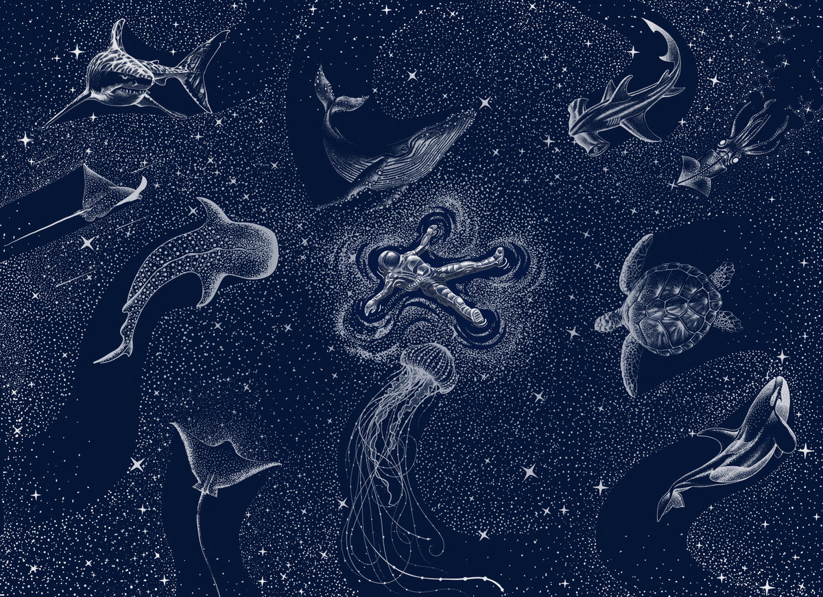 Astral Sea Wall Mural - 2745722