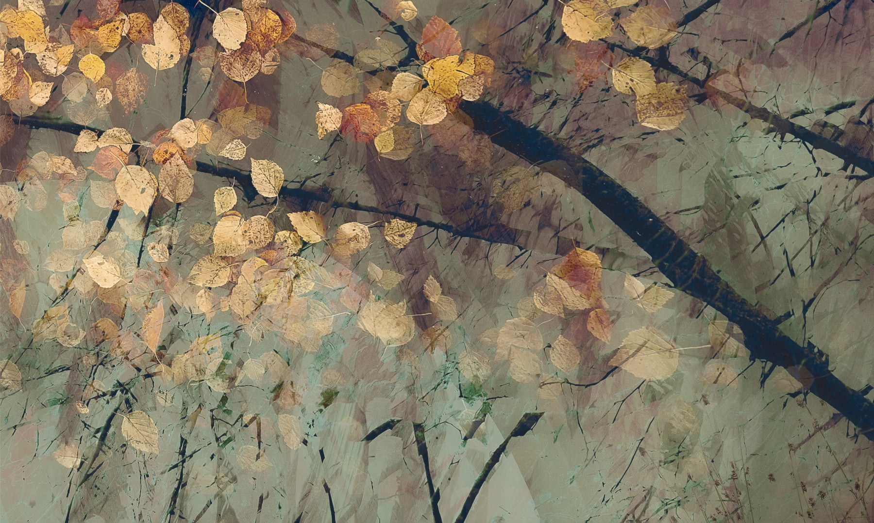 Autumn's Tranquil Reflection Wall Mural - 2852493 in your room — zoomed