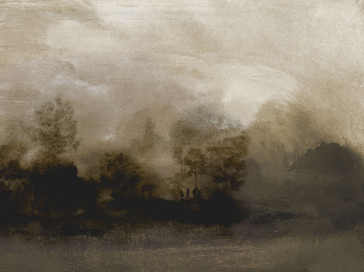 Misty Woods Wall Mural -2887039 in your room