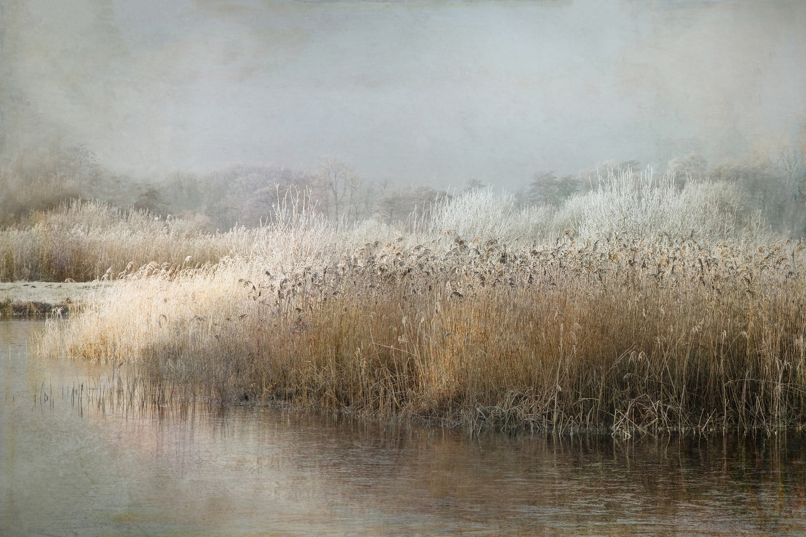 Frosty Riverbank Wall Mural -1649227