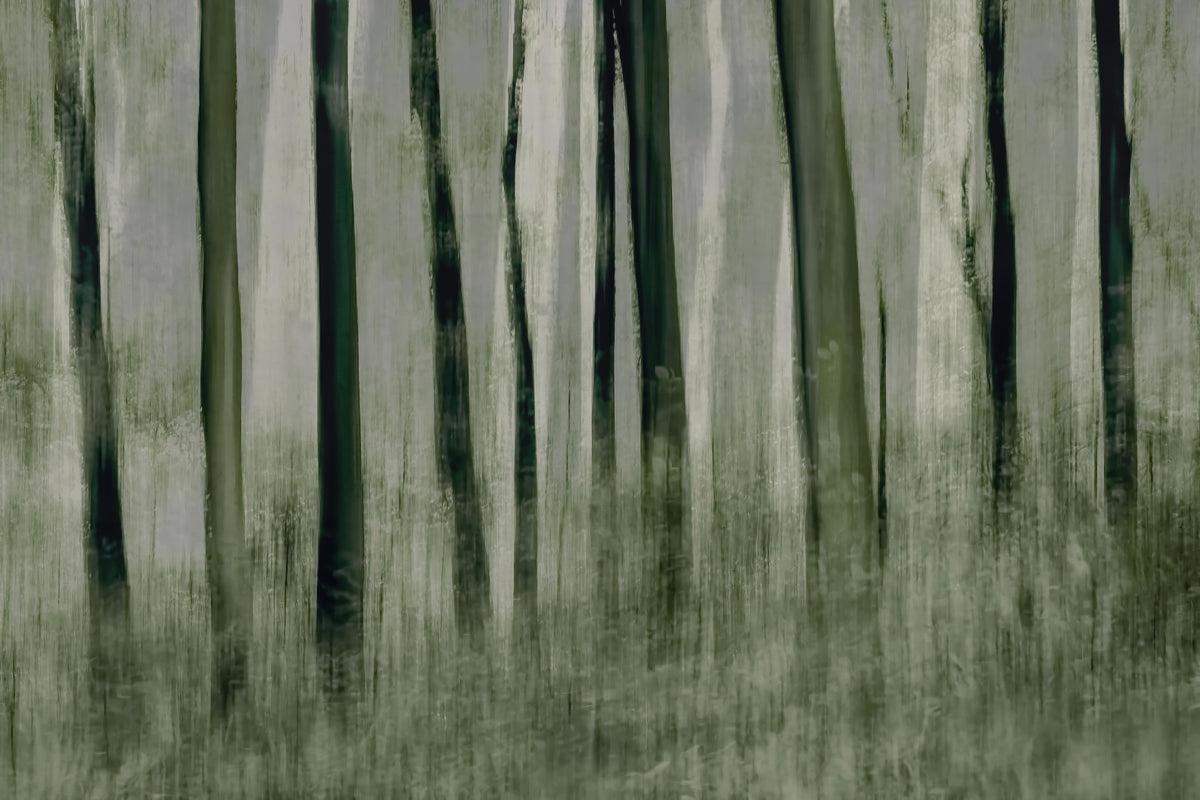 Forest Whisper Wall Mural -1870209 in your room — zoomed