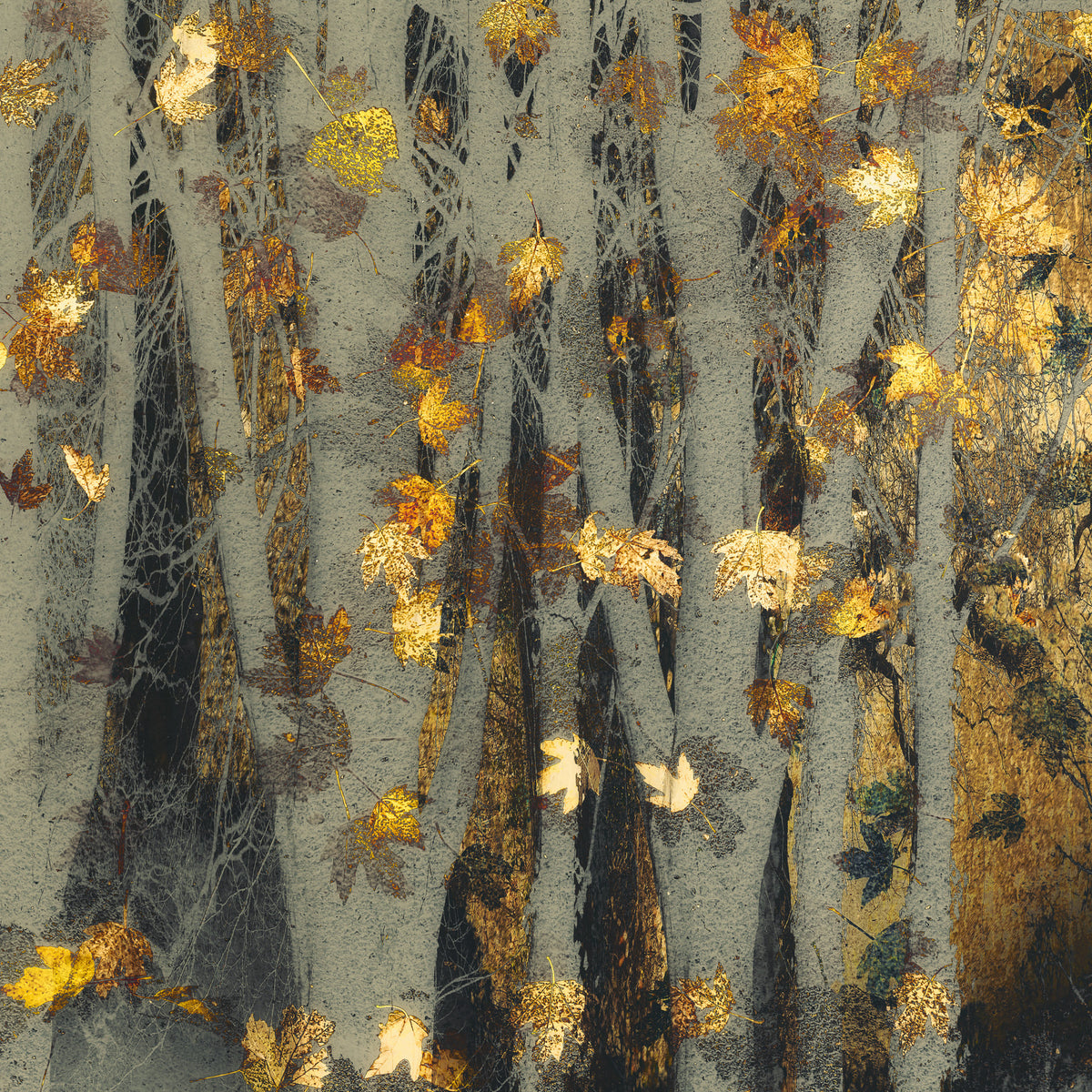 Gilded Autumn Woods Wall Mural -2163434 in your room