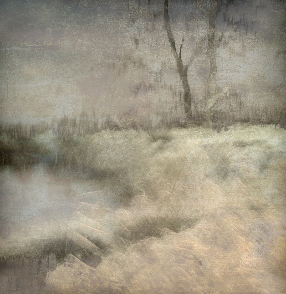 Ethereal Whispers Wall Mural - 1456915 in your room — zoomed