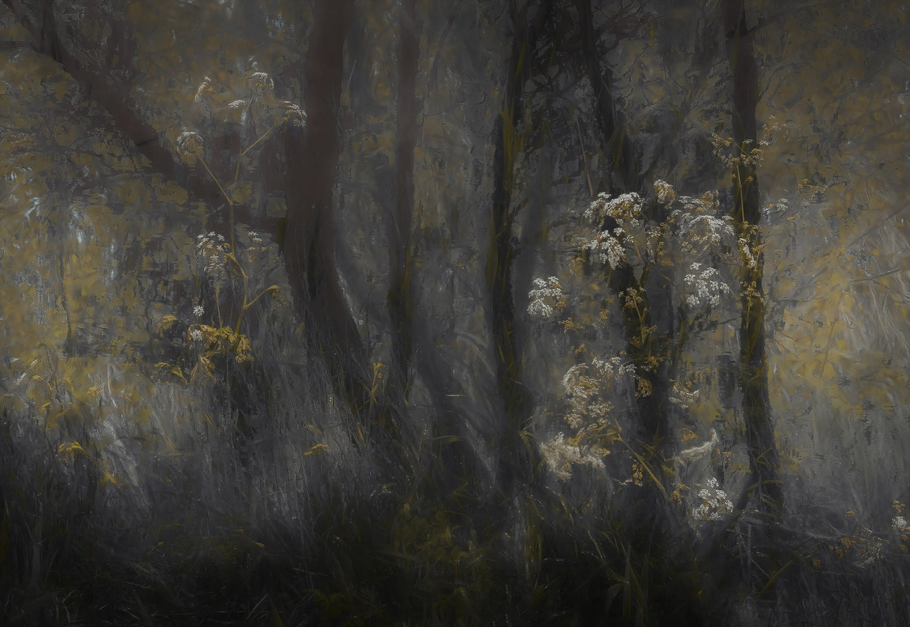Ethereal Forest Whisper Wall Mural - 1689164