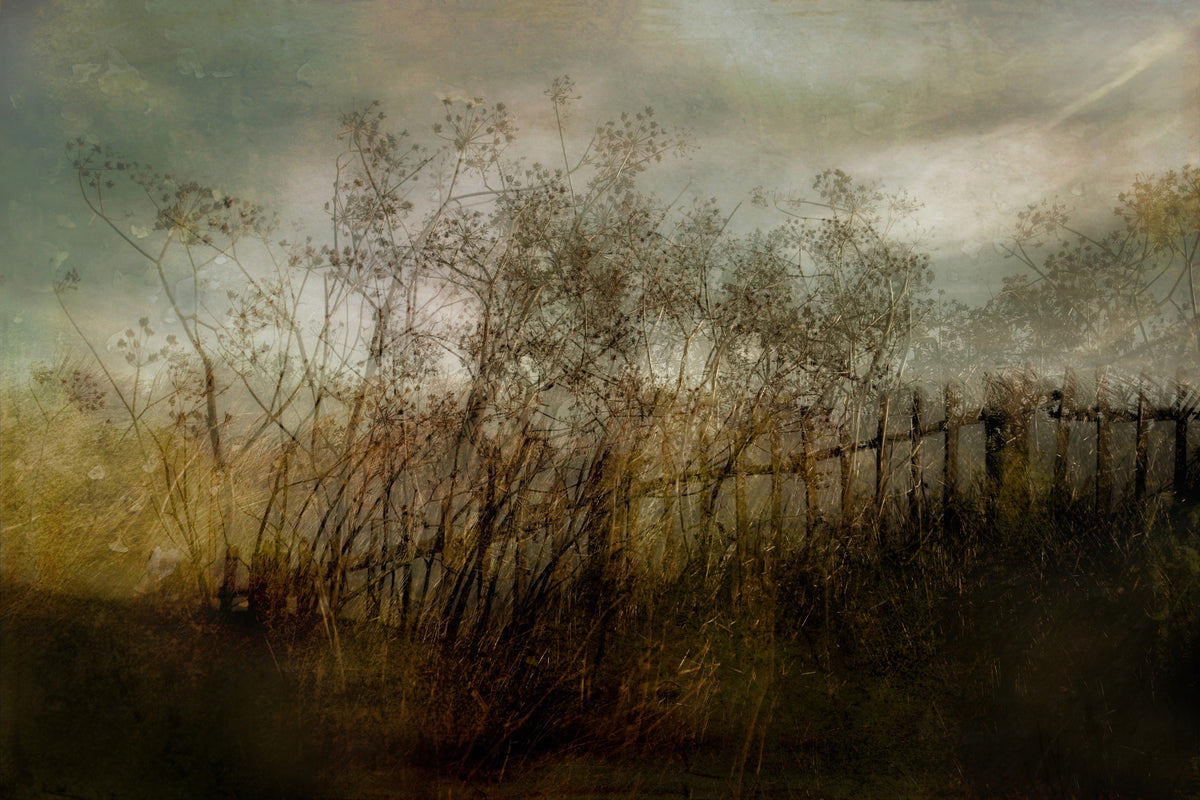 Wisp Haze Wall Mural - GD5609 - 1590772 in your room