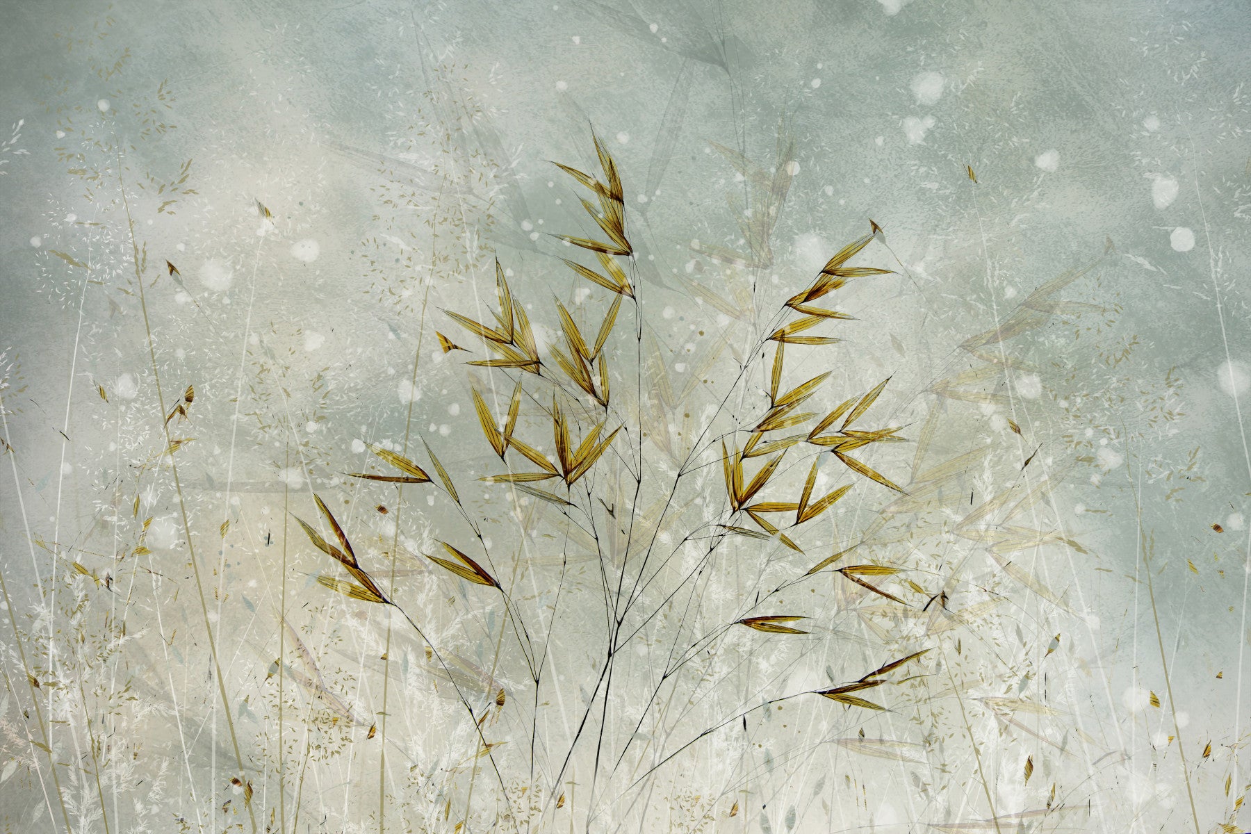Wisp Whisper Wall Mural -1911337