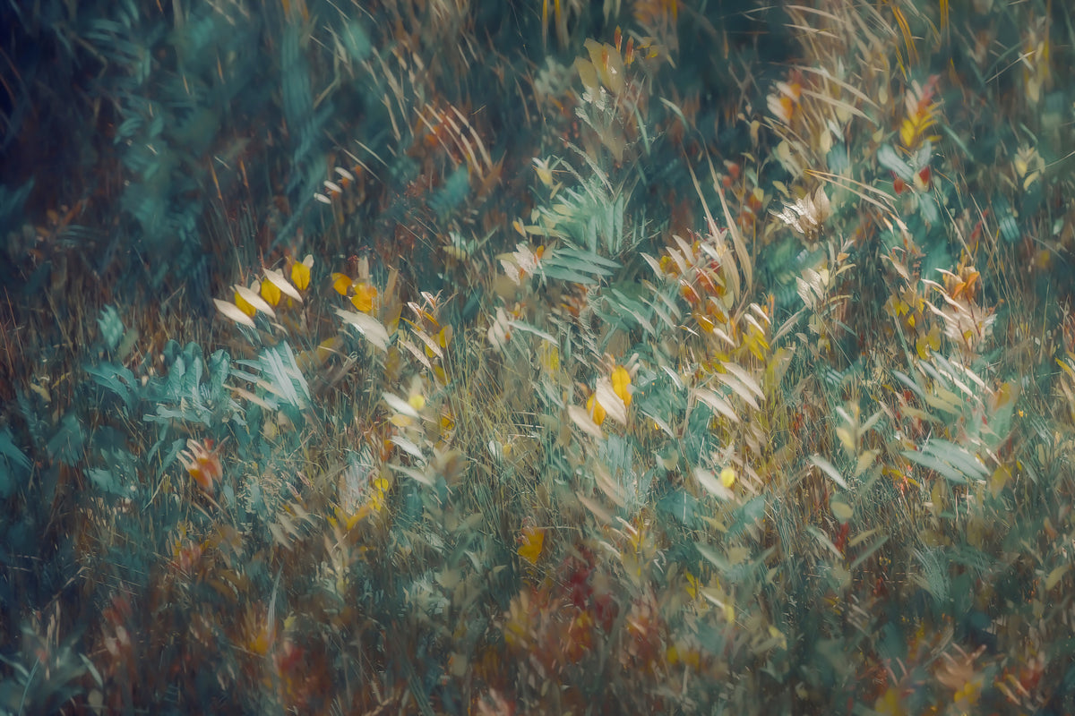 Autumnal Whisper Wall Mural -1930988 in your room