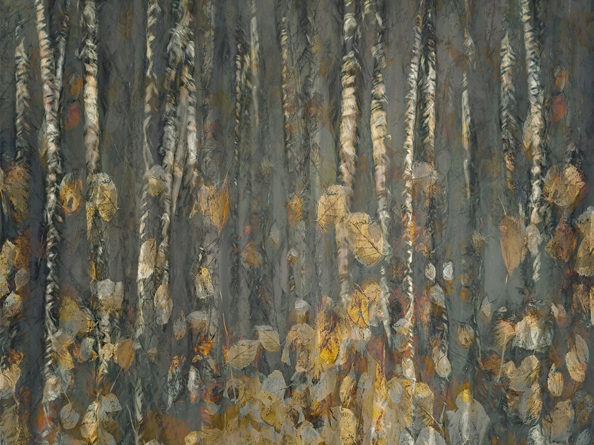 Autumn Woods Wall Mural -2382515