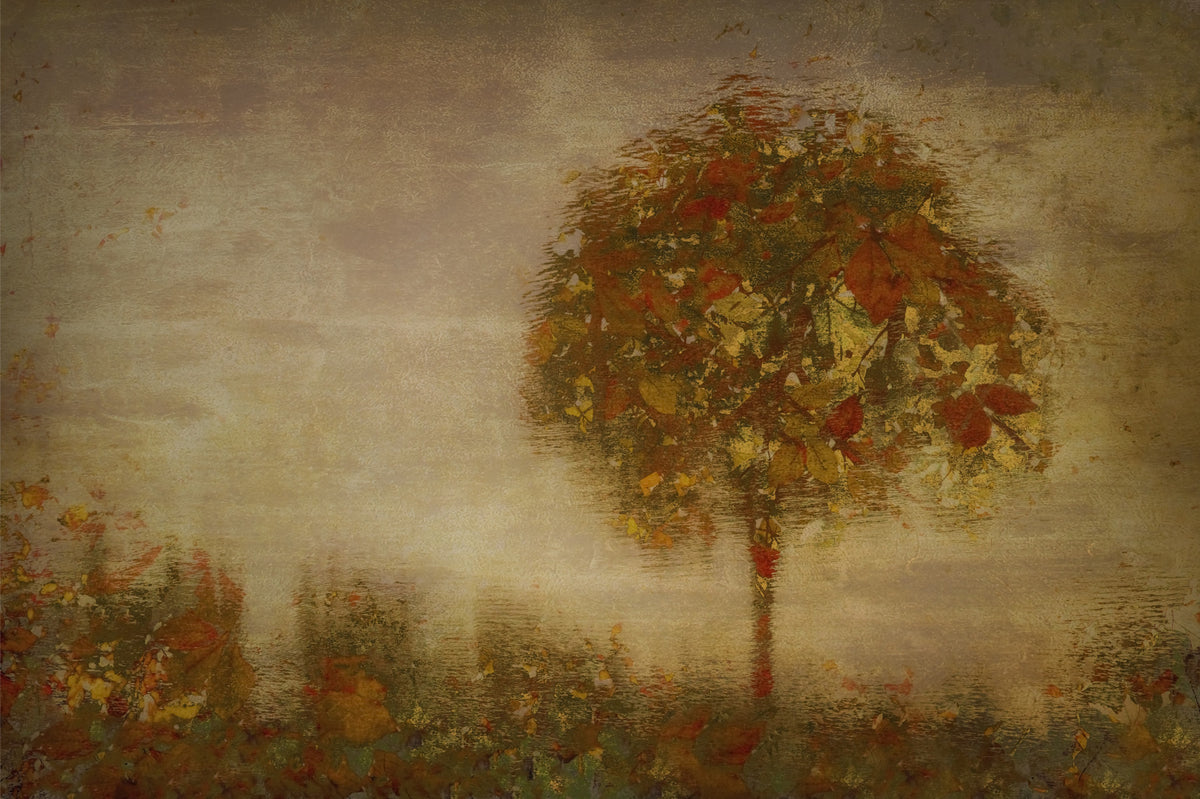 Autumnal Hues Wall Mural -1457825 in your room — zoomed