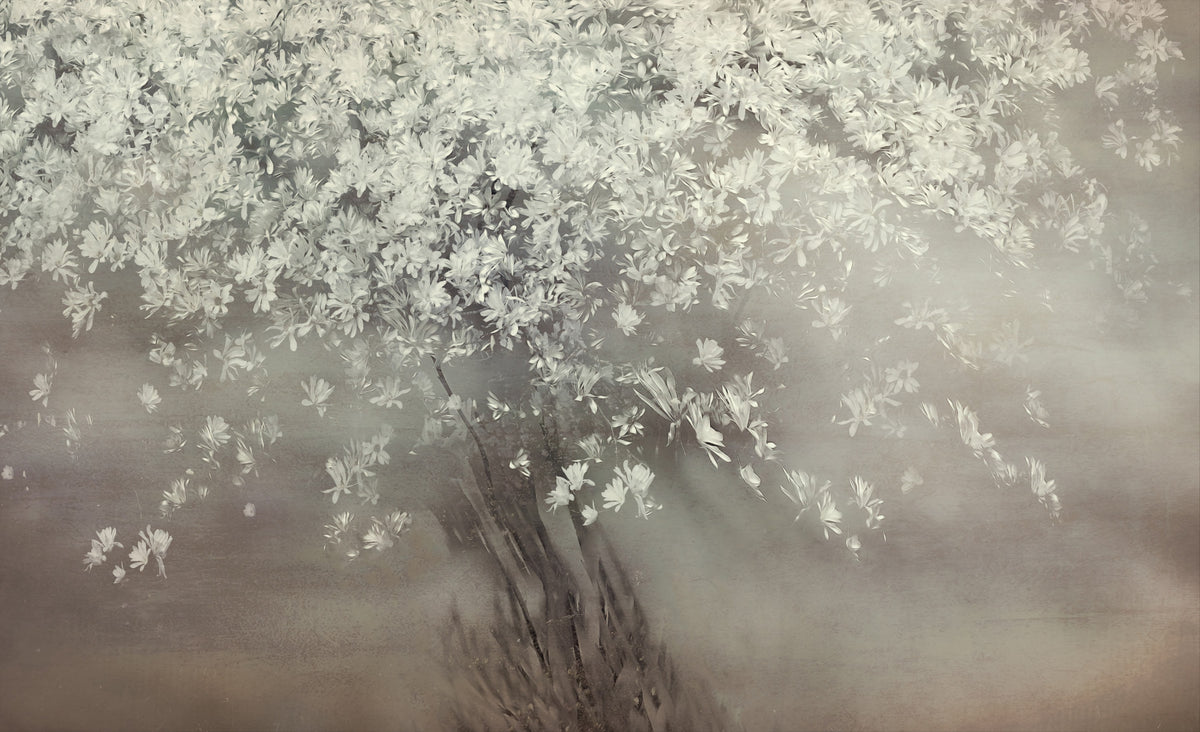 Ethereal Bloom Tree Wall Mural -2049310 in your room — zoomed