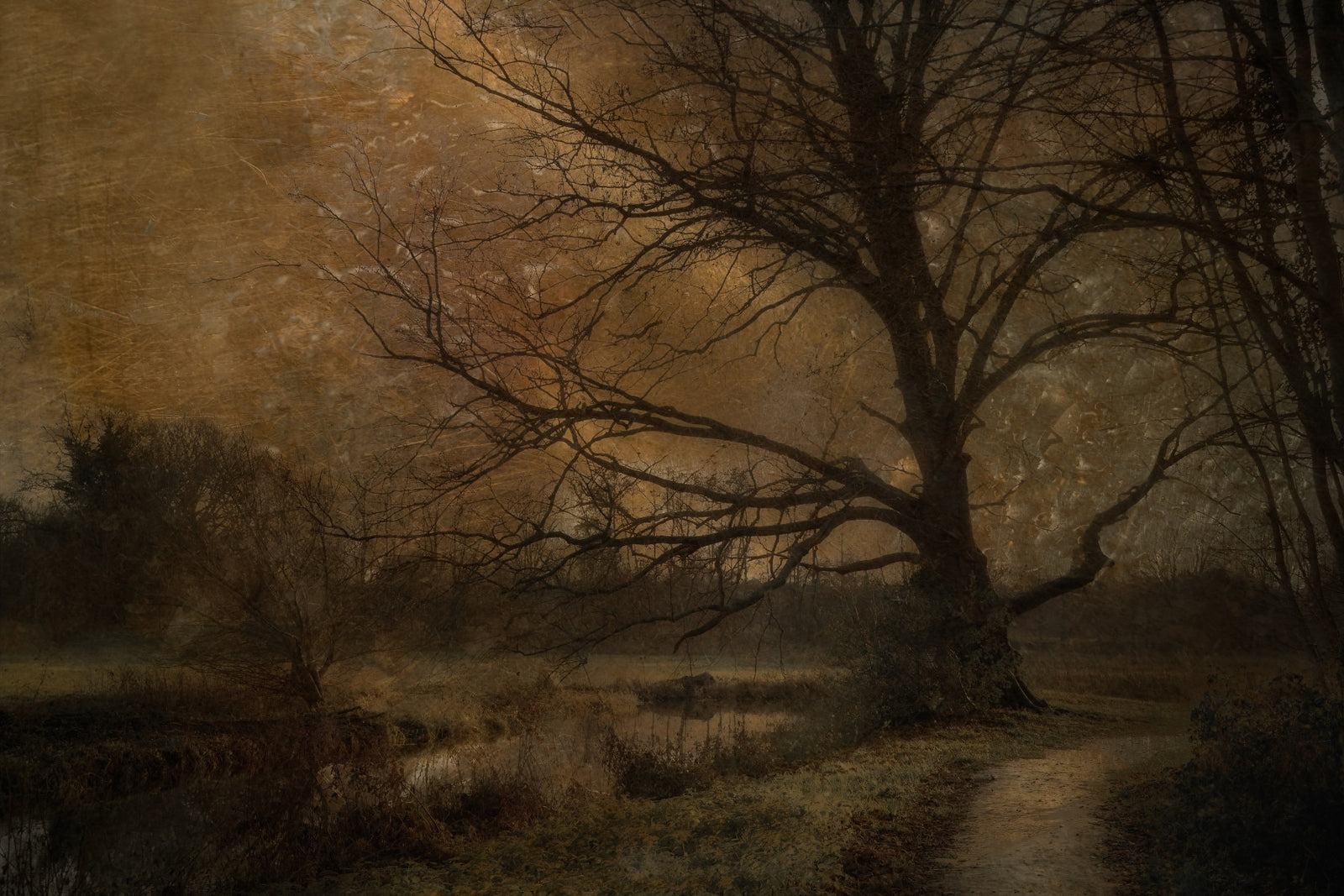 Golden Grove Twilight Wall Mural -1644233