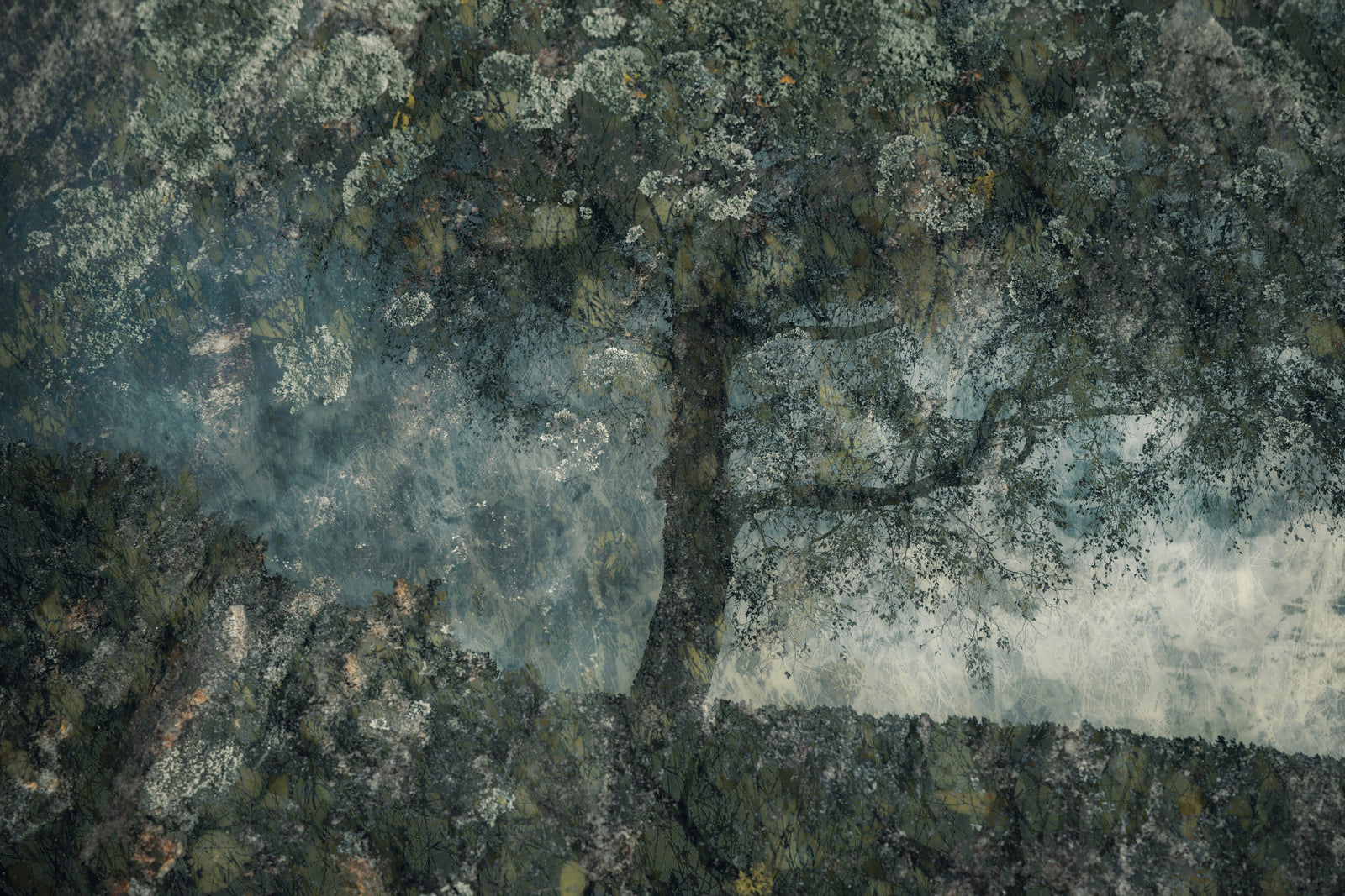 Ghostly Grove Wall Mural -1754621