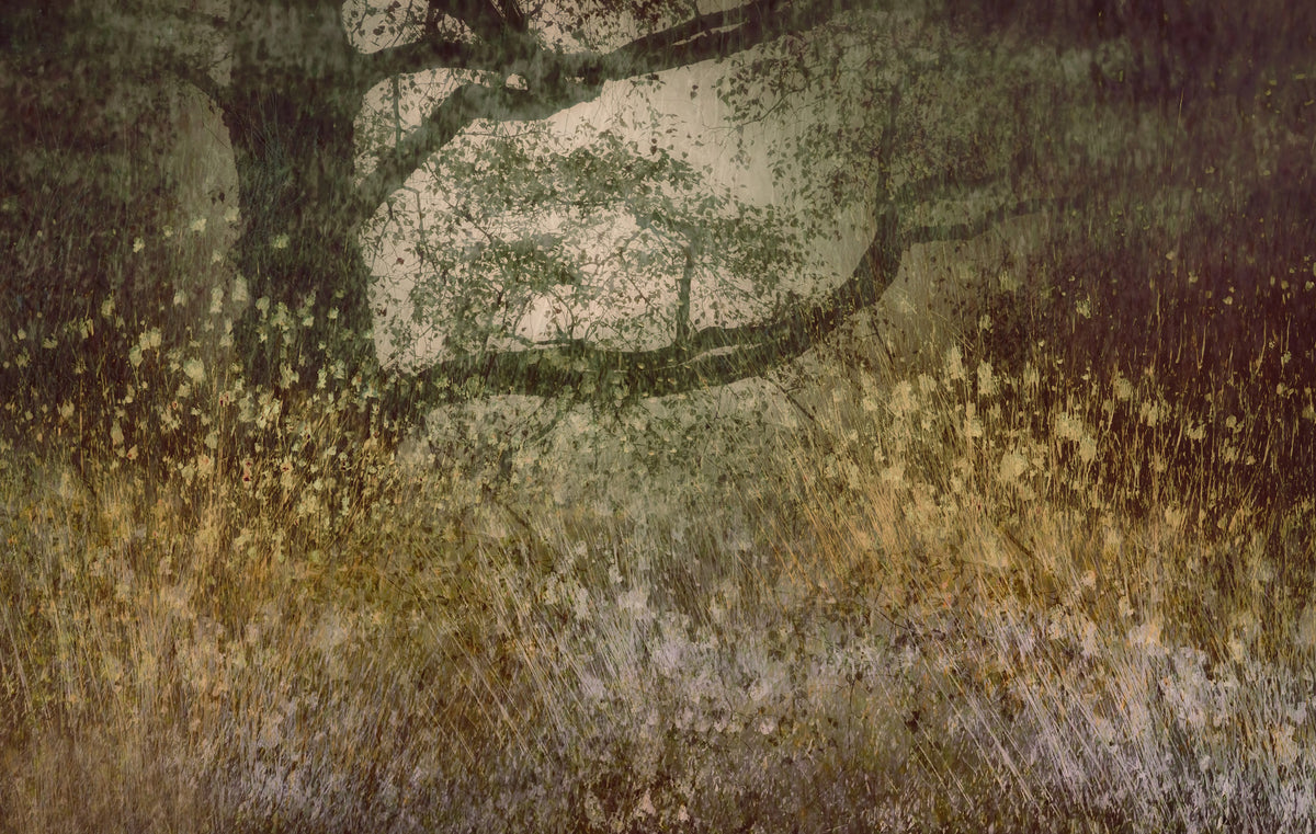 Filtered Light Wall Mural -1942075 in your room — zoomed
