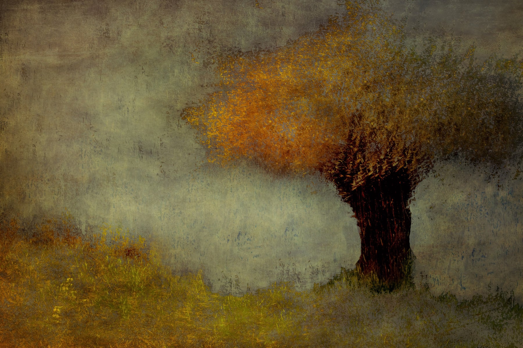 Tranquil Canopy Wall Mural -1437196