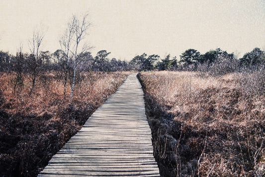 Trail's End Serenity Wall Mural - 2679767