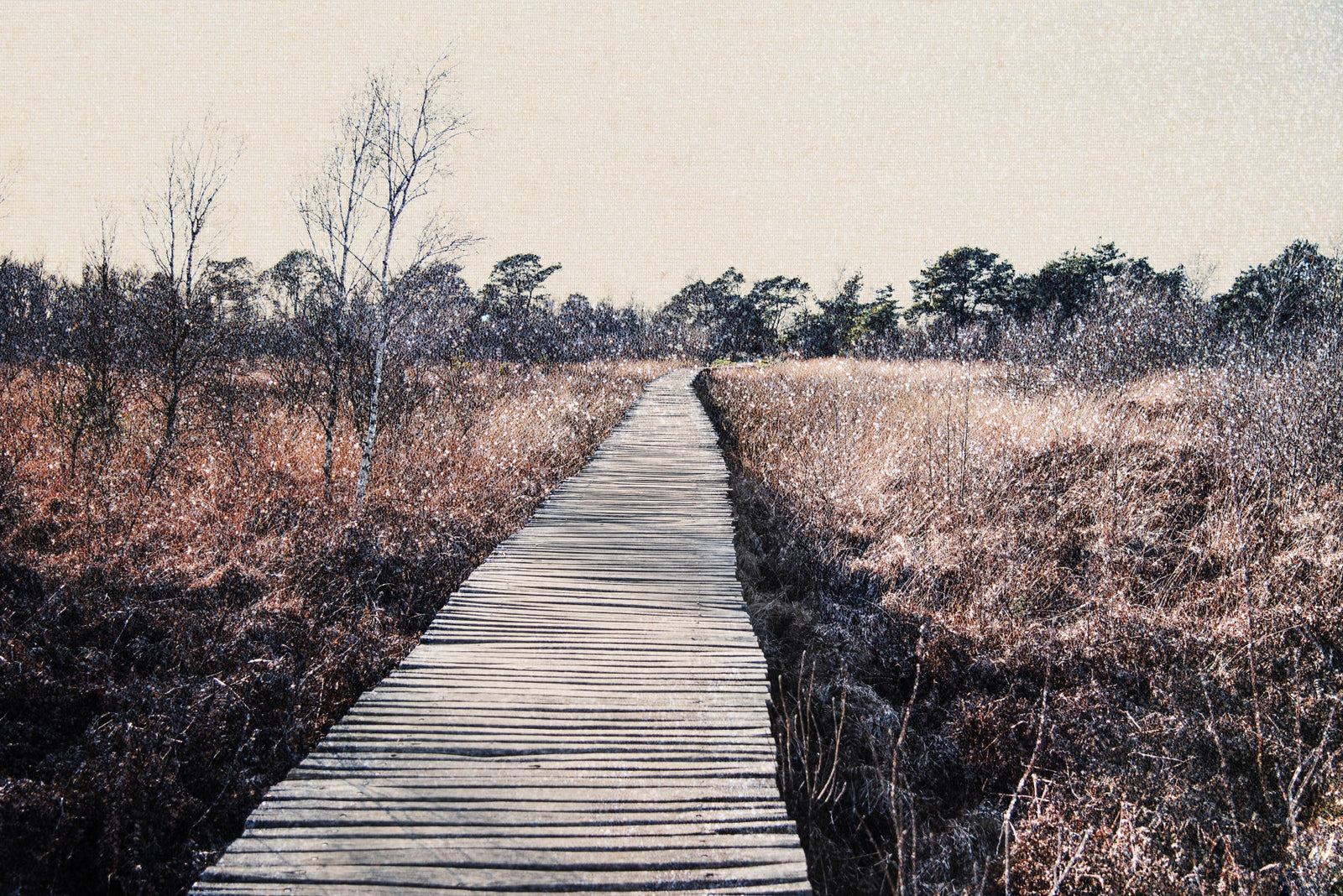 Trail's End Serenity Wall Mural - 2679767 in your room