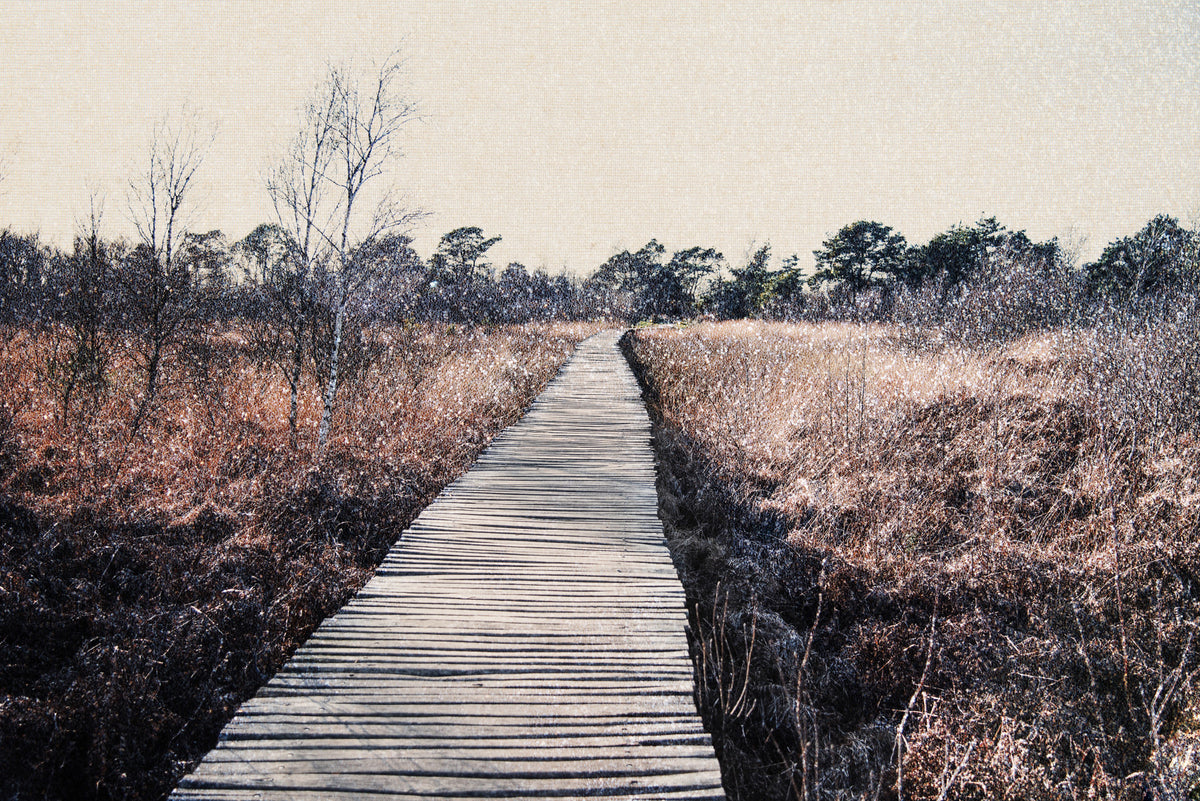 Trail's End Serenity Wall Mural - 2679767 in your room — zoomed