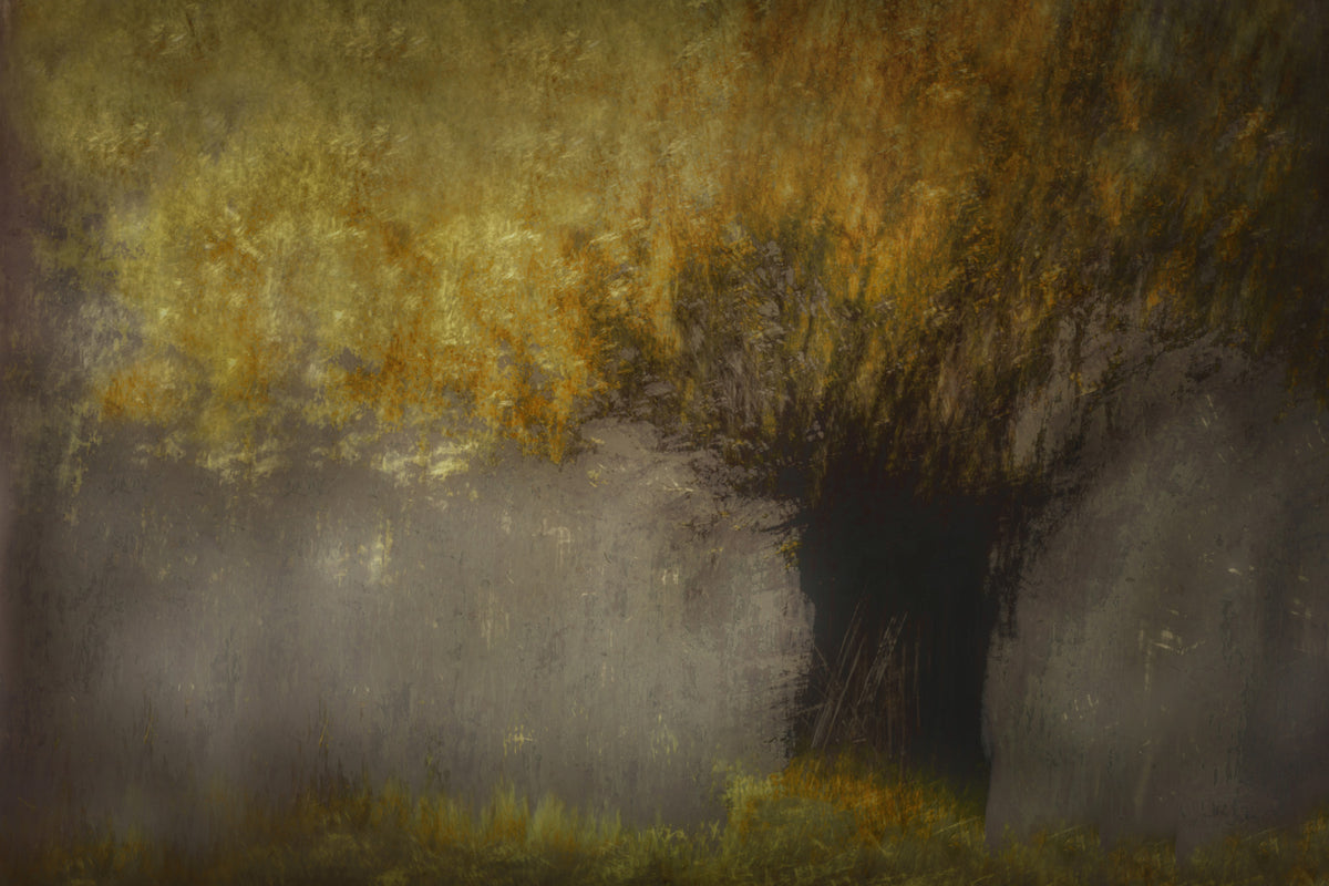 Ethereal Woods Wall Mural -1442596 in your room