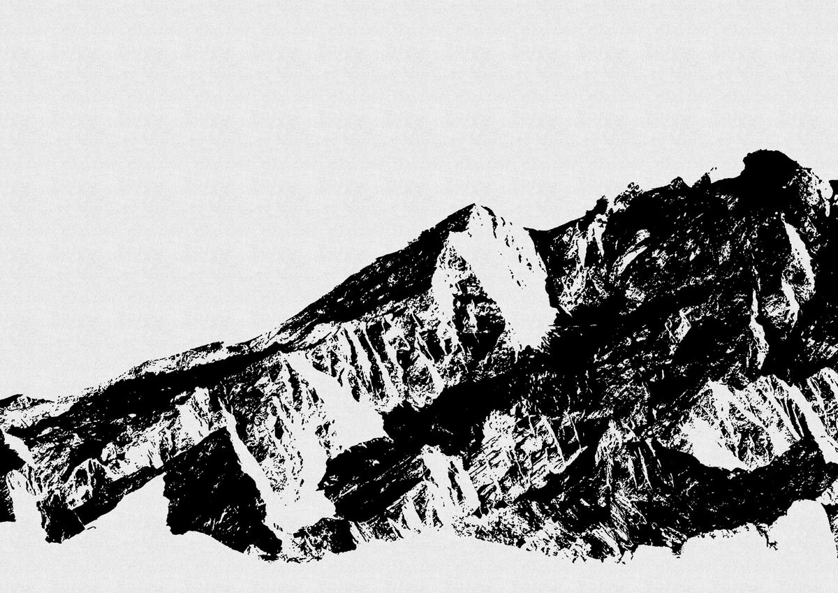 Monochrome Majesty Wall Mural -2594671 in your room