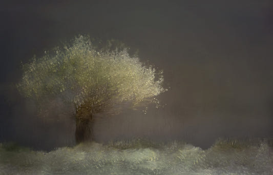 Luminous Tree Wall Mural -1430994