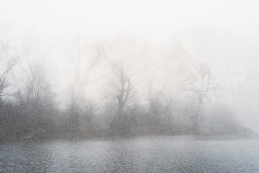Misty Lake's Edge Wall Mural - 2679777