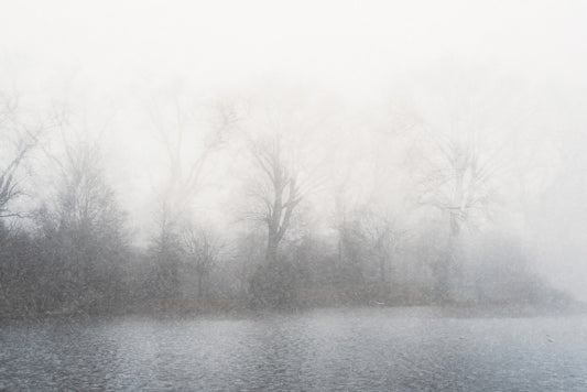 Misty Lake's Edge Wall Mural - 2679777